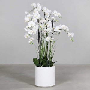 Kunstblumen / -pflanzen