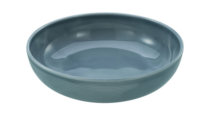 Poke Bowl Session 21 cm 