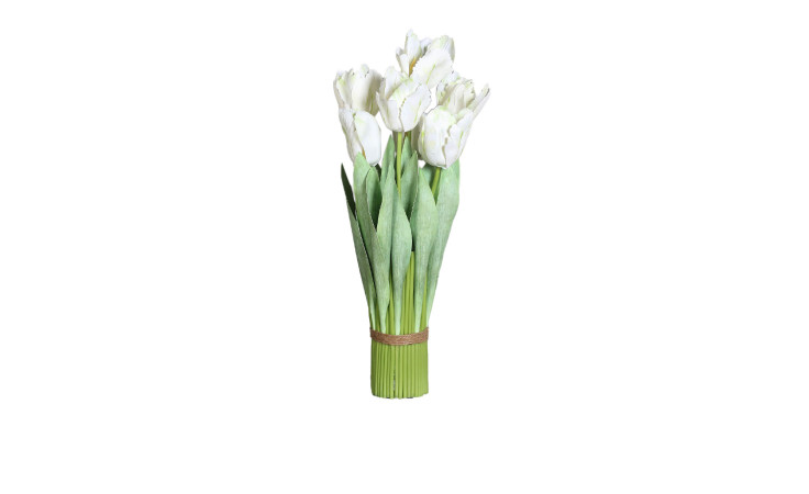 Tulpen Arrangement 54 cm
