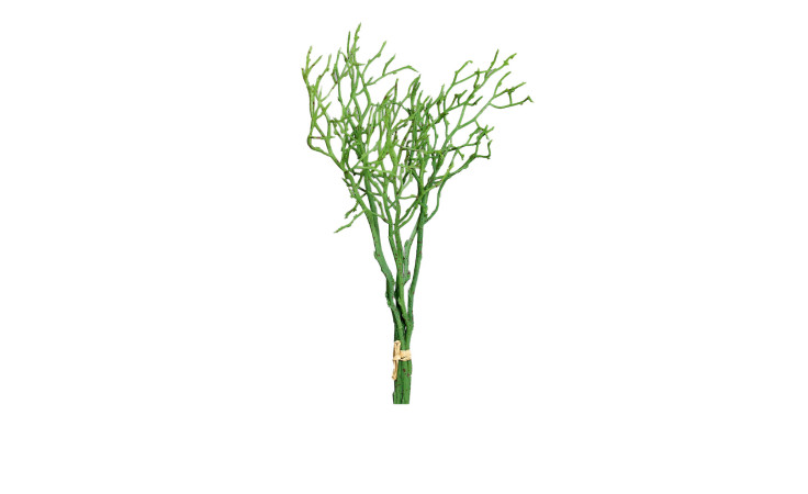 Heidelbeer Bund 35 cm
