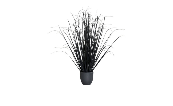 Gras 130 cm