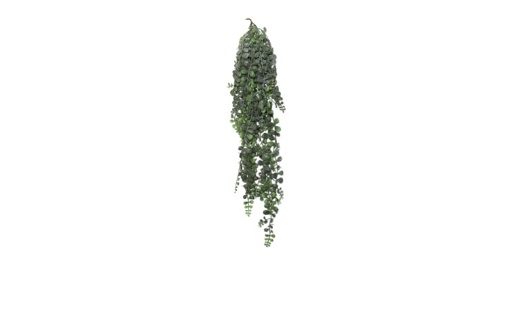 Sukkulenten-Hänger 82 cm