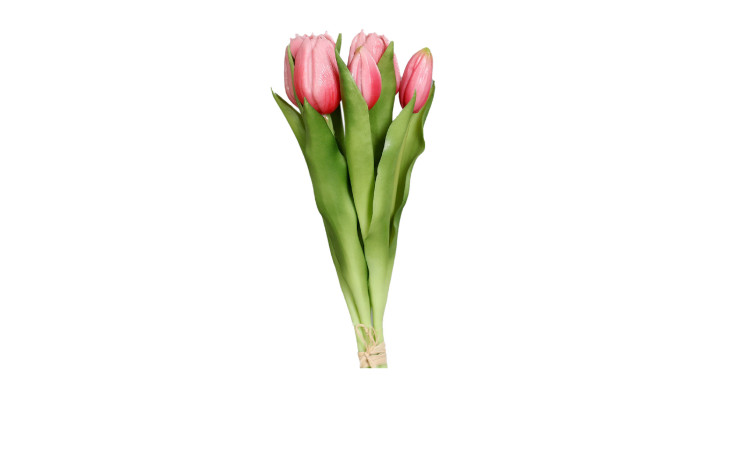 Tulpen Bund 31 cm