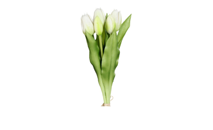 Tulpen Bund 31 cm