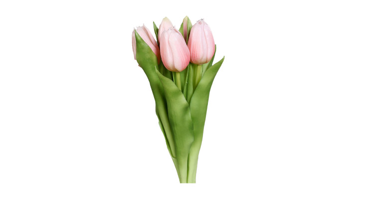 Tulpen Bund 31 cm 