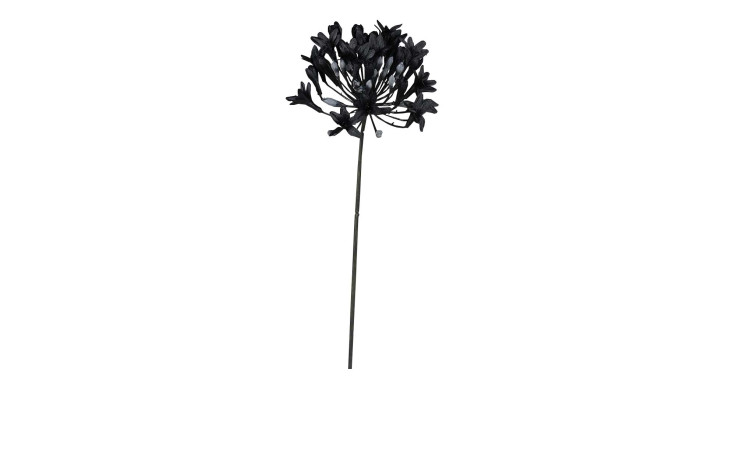 Agapanthus 72 cm aus Kunststoff in schwarz.