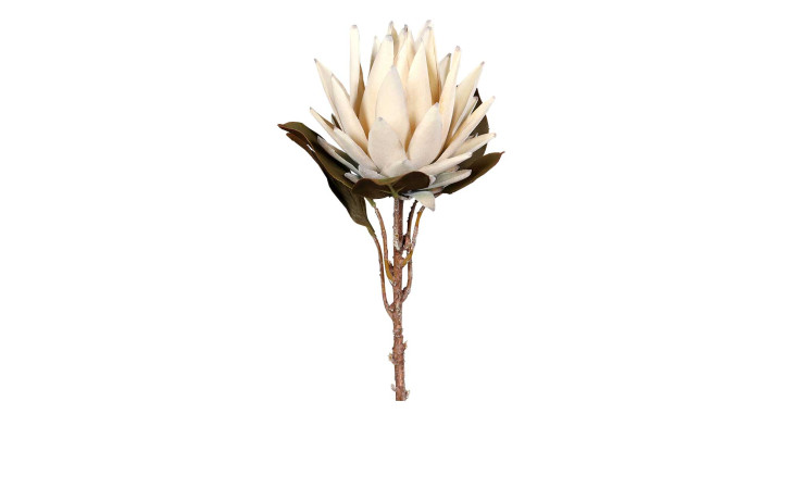 Protea 55 cm aus Kunststoff mit einer weißen Blüte, braunen Stiel und grünen Blätter.