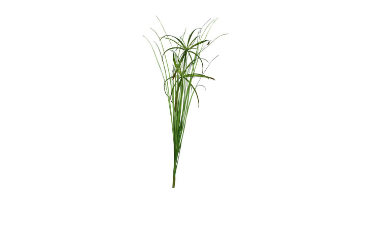 Papyruszweig 67 cm in grün