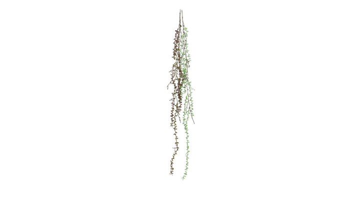 Sukkulenten-Hänger 85 cm in grün, braun