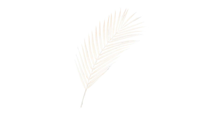 Farnzweig 80 cm in beige