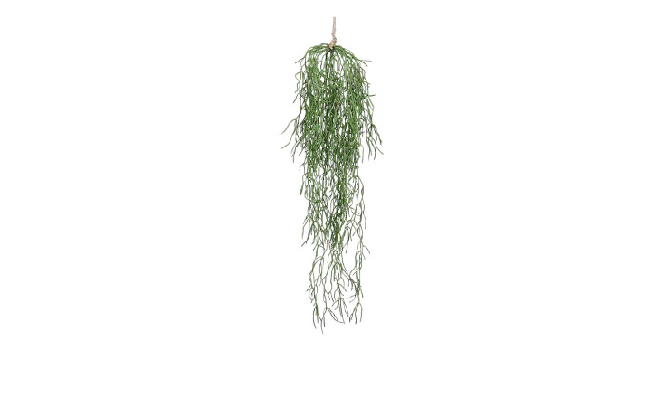 Sukkulenten-Hänger 75 cm in grün