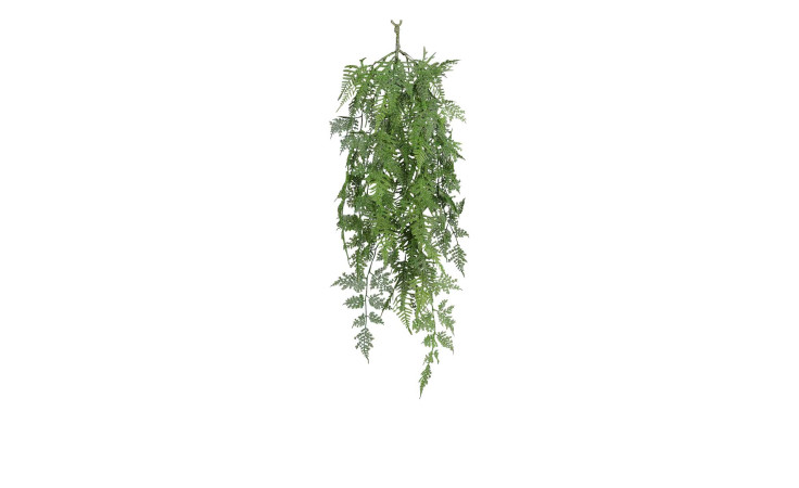 Plumosus-Hänger 91 cm in grün