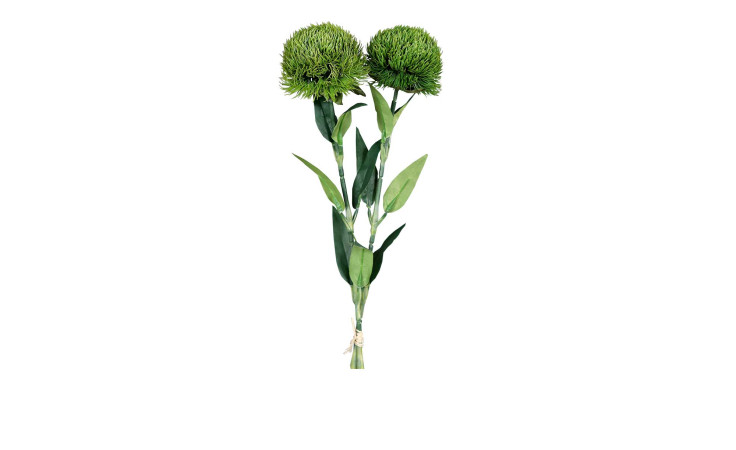 Fruchtstand 54 cm in grün