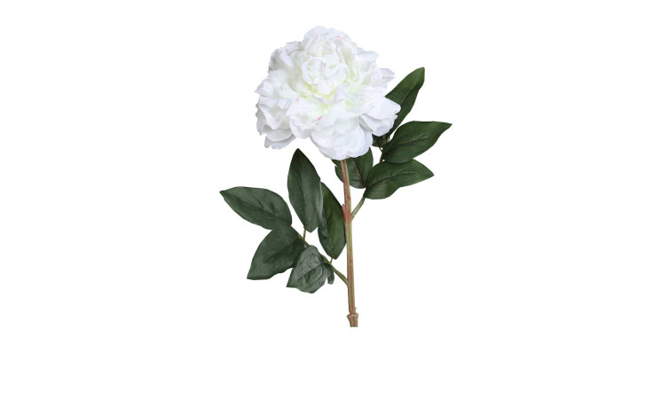 Päonie 63 cm in weiß