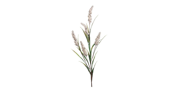 Fruchtstand 84 cm in beige