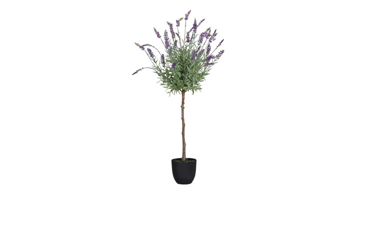 Lavendel-Kugelbaum 90 cm in einem schwarzen Pflanztopf
