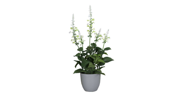 Salbei 42 cm in beige