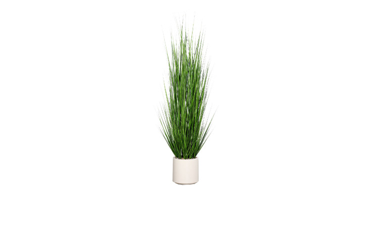 Gras 170 cm