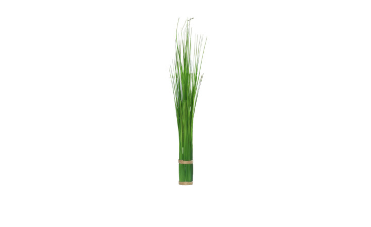 Stehgras 60 cm
