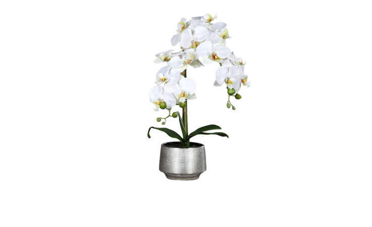 Orchidee 60 cm 