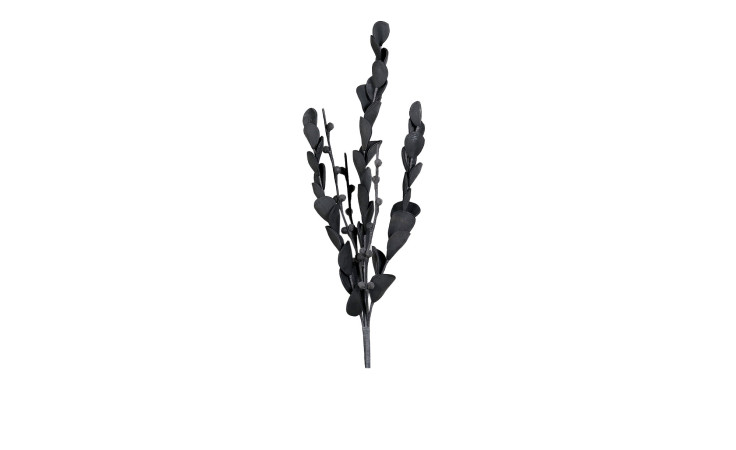 Eukalyptus 119 cm