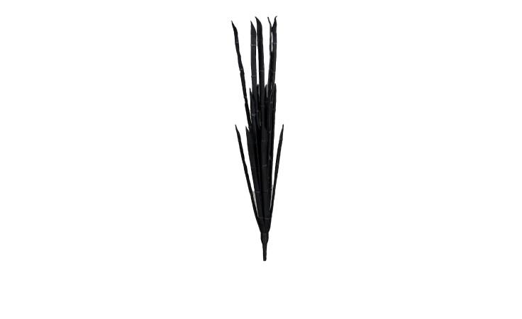 Alge 100 cm 