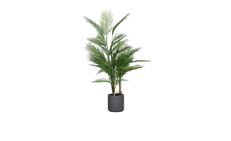 Chico Pflanze 115 cm 