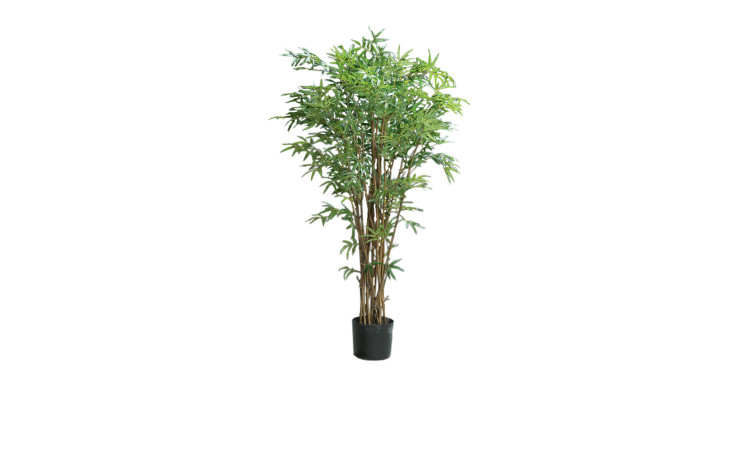 Bambus 150 cm