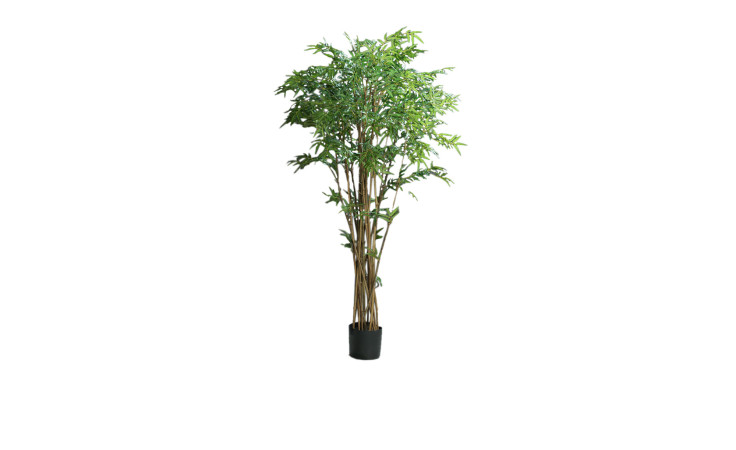 Bambus 180 cm 