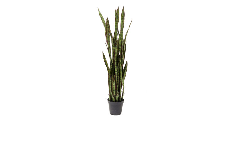 Deko-Pflanze 155 cm hoch