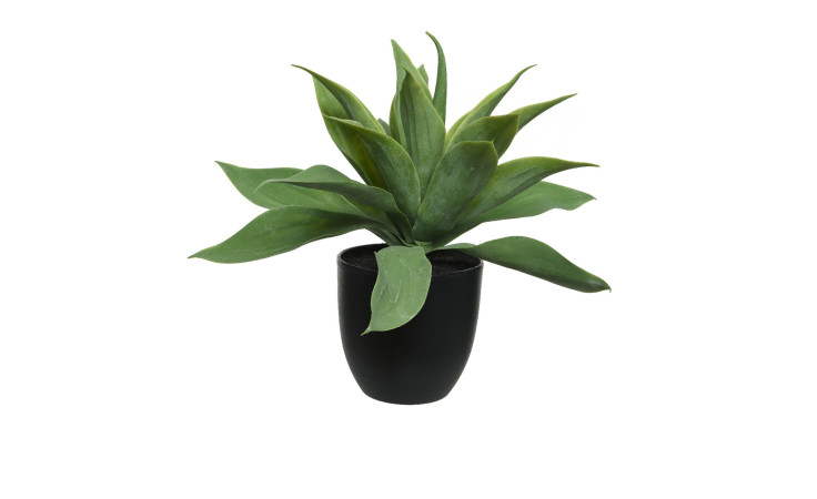 Deko-Agave im schwarzem Topf 37 x 34,5 cm in grün.