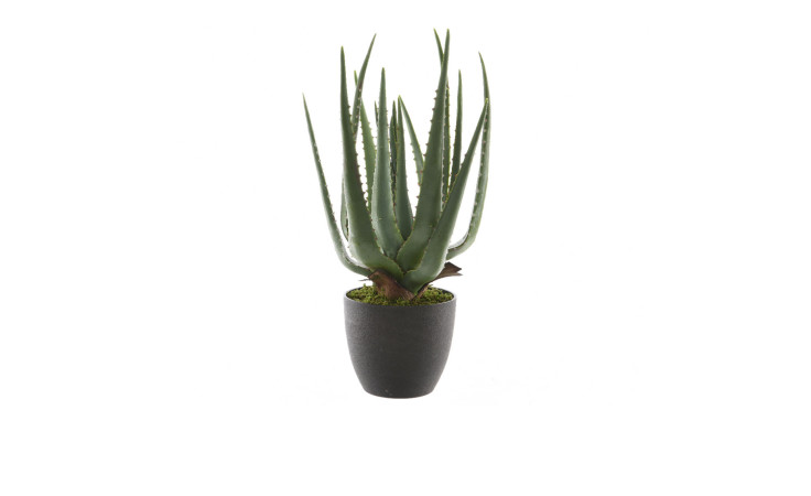 Deko-Aloe Vera im Topf 40 cm in grün.