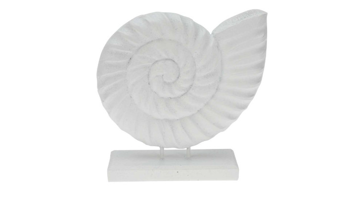 Muschel 16 cm