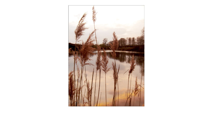 Glasbild Evening at the Lake 60 x 80 cm, Seelandschaft