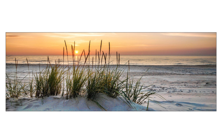 Glasbild Lonely Dune 30 x 80 cm, Strandlandschaft
