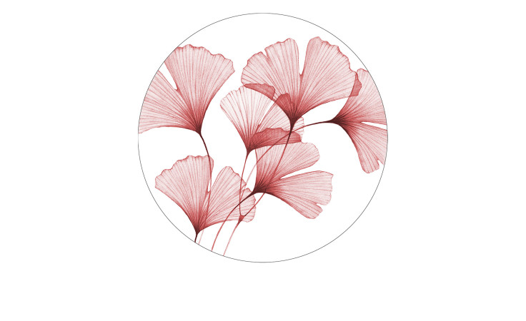 Glasbild Transparent Leawes mit 30 cm Durchmesser. Glasbild mit dem Thema - Floral.