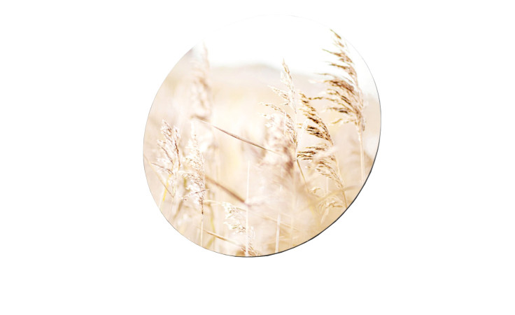 Glasbild Standgras mit 20 cm Durchmesser. Glasbild mit dem Thema - Feld.