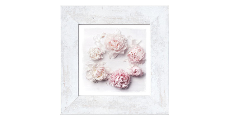 Rahmenbild Delicate Flowers 44 x 44 cm. Rahmenbild mit dem Thema - Blumen.