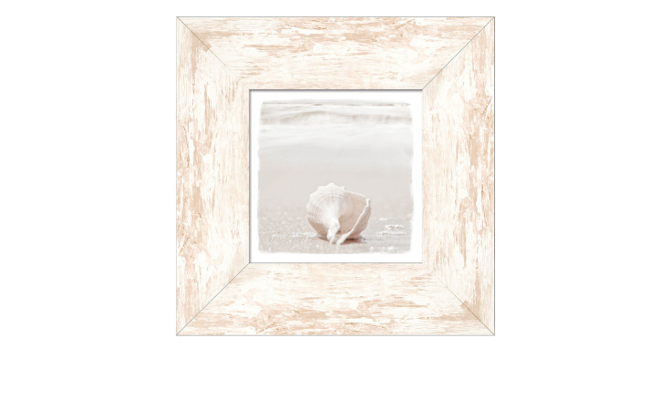 Rahmenbild At the Coast 34 x 34 cm. Rahmenbild mit dem Thema - Muschel am Strand.