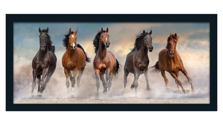 Rahmenbild Horses 60 x 130 cm