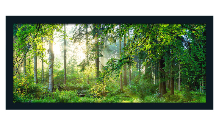 Rahmenbild Forest Harmony 60 x 130 cm
