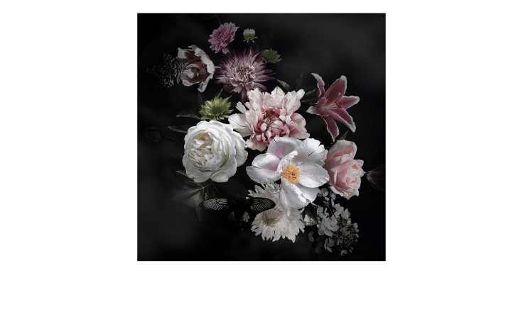 Alubild Baroque Roses 50 x 50 cm