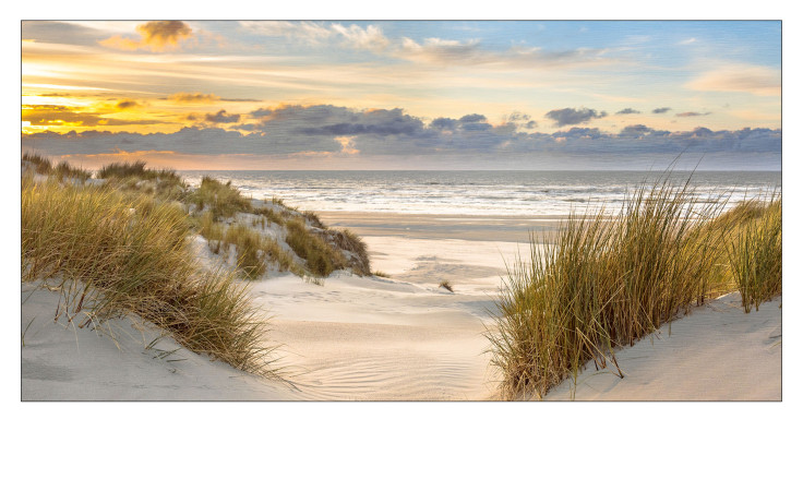 Alubild Dune at Sunset 50 x 100 cm