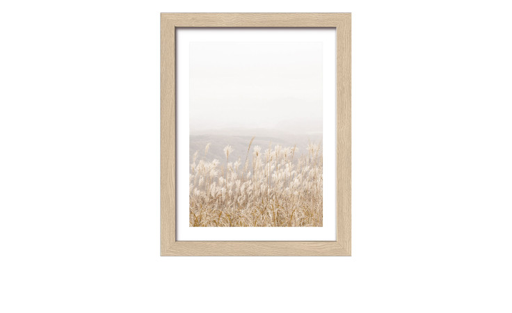 Rahmenbild Dried Fiber IV 24 x 19 cm