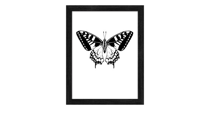 Rahmenbild Butterfly 24 x 19 cm