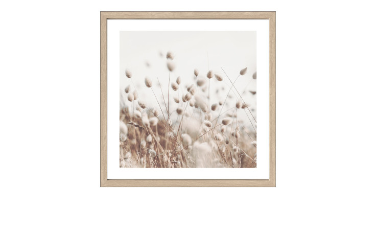 Rahmenbild Dried Fiber in the Wind 53 x 53 cm