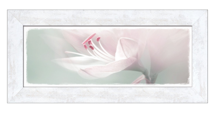 Rahmenbild Single White Flower 30 x 80 cm