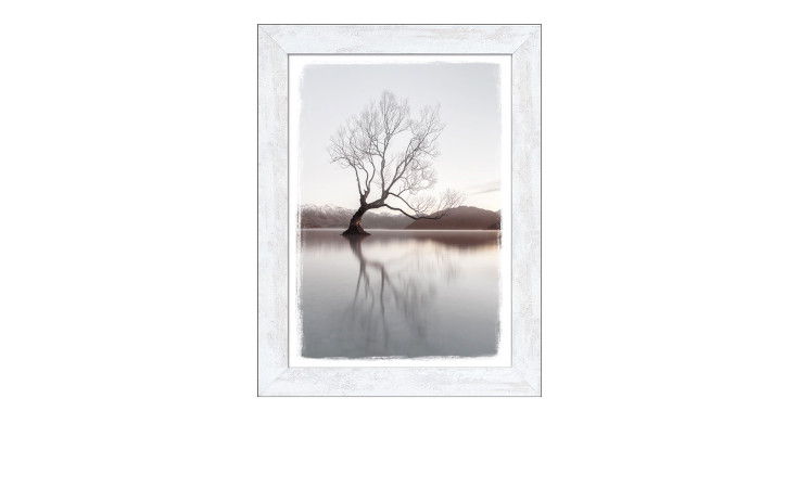 Rahmenbild Tree In A Lake 50 x 70 cm