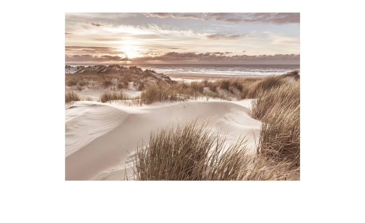 Alubild Beach at Sunrise 70 x 100 cm