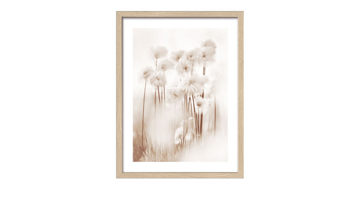 Rahmenbild Dried Fiber 33 x 43 cm